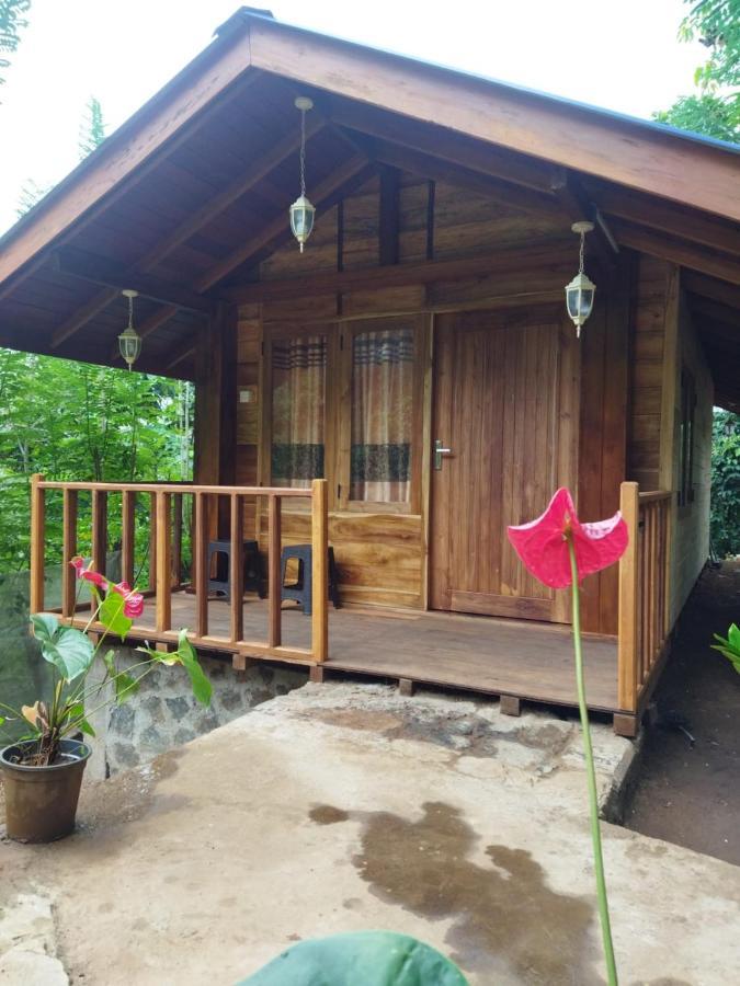 Diyaluma View Cotage Hotel Koslanda Exterior foto